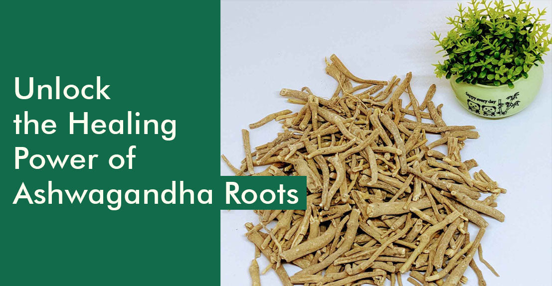 Ashwagandha Roots Unveiling the Benefits of This Powerful Adaptogen in