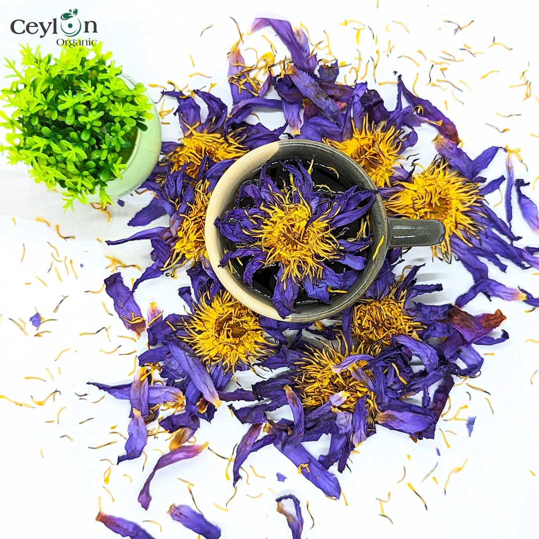 Egyptian Blue Lotus Flowers 100% Organic Whole Flowers and Crushed Flowers  Nymphaea Caerulea Flower Tea 
