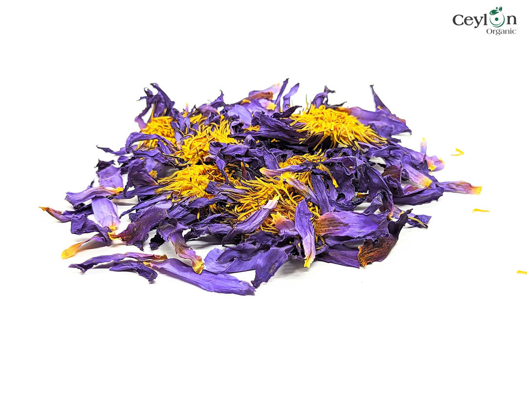 Pure Organic ceyloner Dried Blue Lotus Nymphaea Caerulea Flowers Free  shipping
