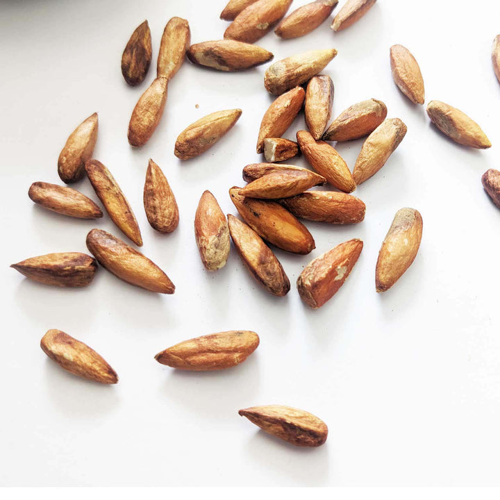 Edible almond seeds, wholesome dried nuts for health and wellness
