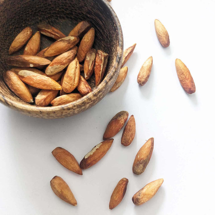 Dried almond seeds, nutritious edible nuts for healthy snacking and cooking