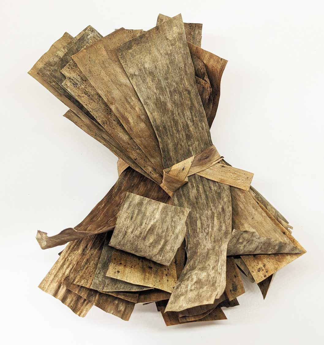 Alder Cones Aquarium 30-Piece Aquarium Botanicals Sampler Indian