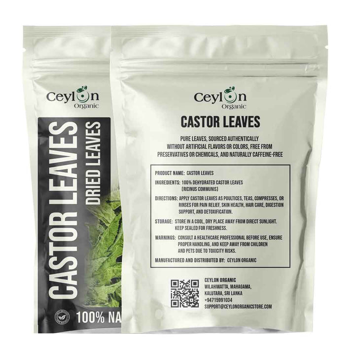 Dried Castor Leaves (Traditional Uses),Ricinus Communis Leaves ,Dried Castor Leaves for Crafts,Whole Castor Leaves,Castor Oil Plant Leaves,Unique Leaves: Castor Plant,Castor Oil Production: From Leaves,