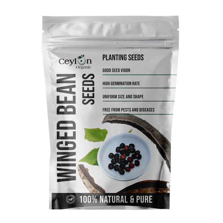 A handful of winged bean seeds being poured into a small dish