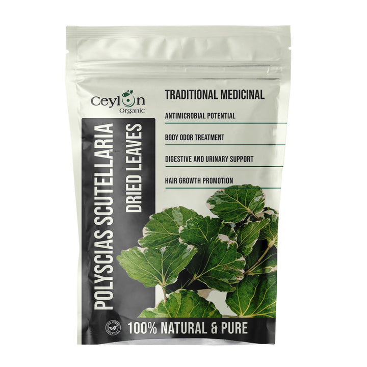 Polyscias Scutellaria dried leaves, shield aralia dried leaves, plum aralia dried leaves, dried mangkokan leaves, Polyscias Scutellaria tea, Polyscias Scutellaria herbal tea, benefits of Polyscias Scutellaria, how to use Polyscias Scutellaria leaves, where to buy Polyscias Scutellaria, Polyscias Scutellaria for health, dried leaves for herbal remedies.