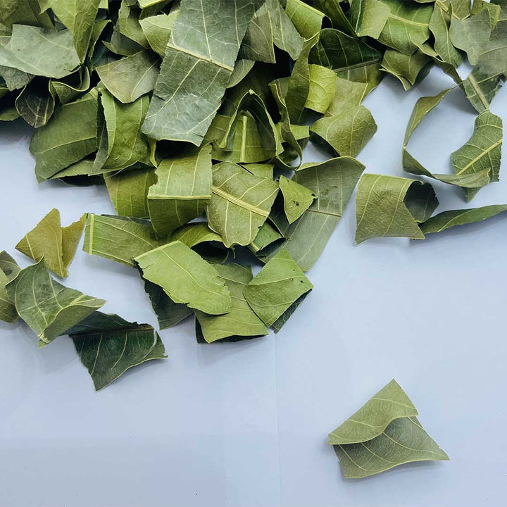 Premium quality dried mango leaves for herbal tea and natural remedies,Natural dried mango leaves for tea, crafts, and medicinal uses.