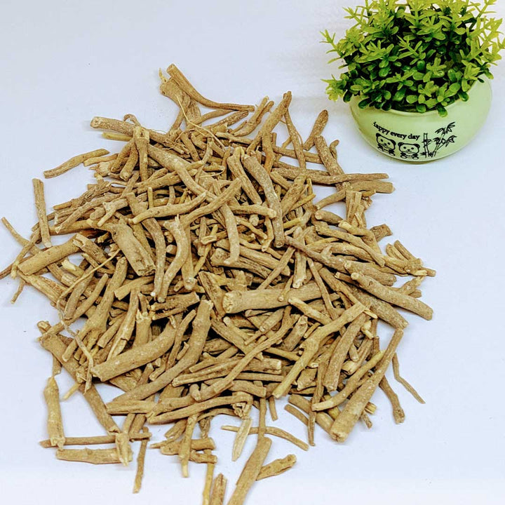 The image shows a pile of dried ashwagandha roots on a white surface, with a small green potted plant in a round container placed nearby.