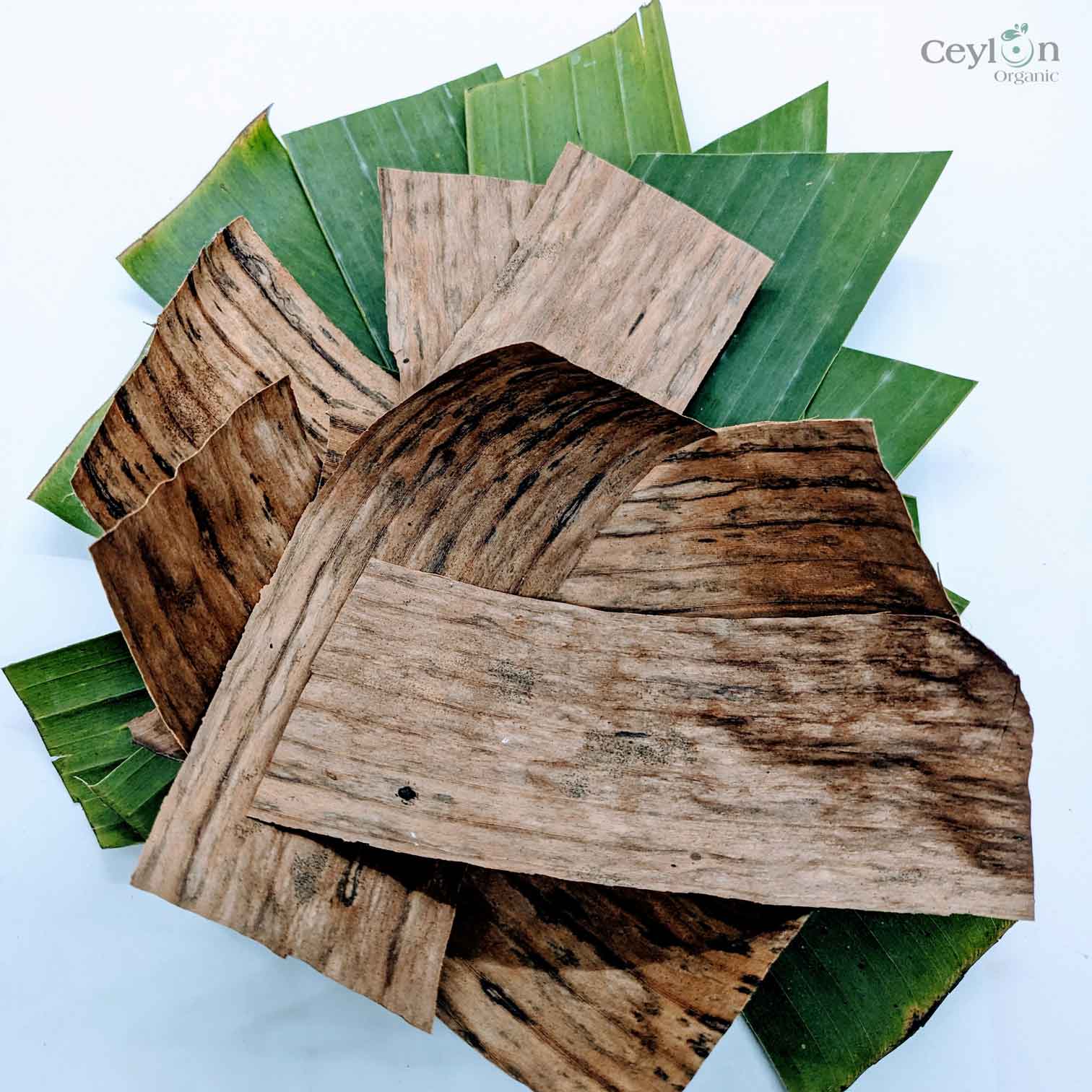 Dried banana leaves top for betta