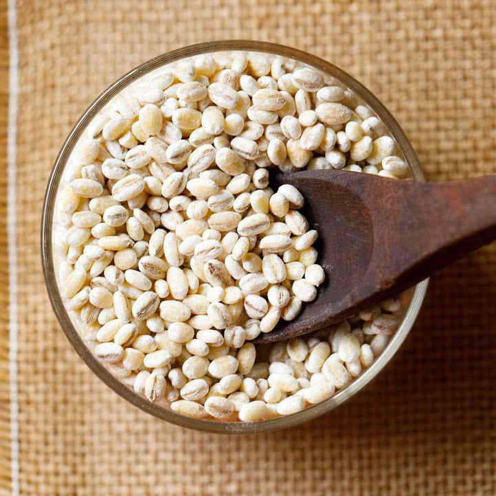 Barley seeds ,common barley, grain barley, cereal barley