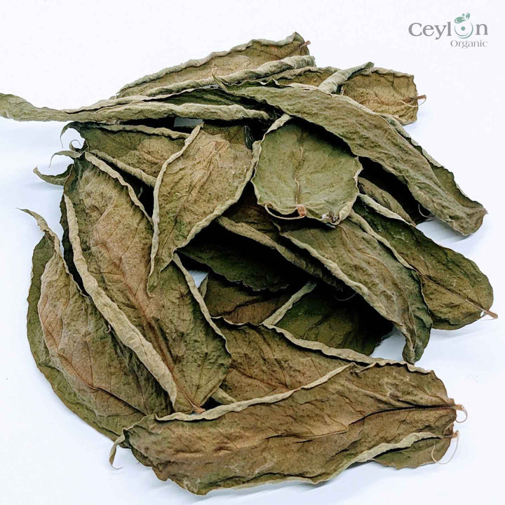 Dried Averrhoa Bilimbi Leaves, kamias leaves,Dried Averrhoa Bilimbi Leaves,Kamias leaves,sun dried bilimbi leaves