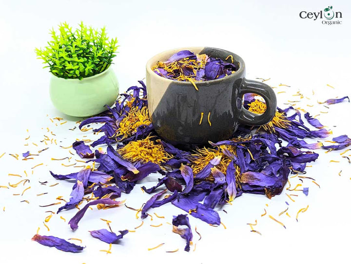20kg+ Dried Blue Lotus Flowers - Premium Quality Nymphaea Caerulea Her –  Ceylon Organic