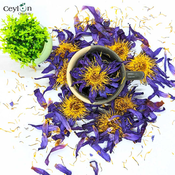 20kg Dried Blue Lotus Flowers (Nymphaea Caerulea) - Premium Quality, Organic, for Tea, Bath, Incense, and More | Ceylon Organic