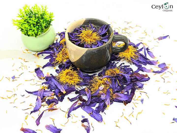 20kg+ Dried Blue Lotus Flowers - Premium Quality Nymphaea Caerulea Herbal  Tea | Ceylon Organic