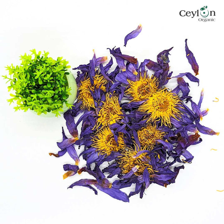 Dried Hibiscus Cut Flowers 100% Organic Premium Jamaica Herbal Flor Tea  Ceylon