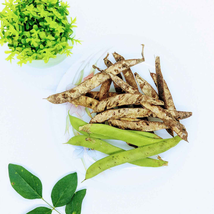 Plate featuring fresh green and dried butterfly pea pods, accompanied by green leaves and a decorative plant, perfect for gardening enthusiasts.