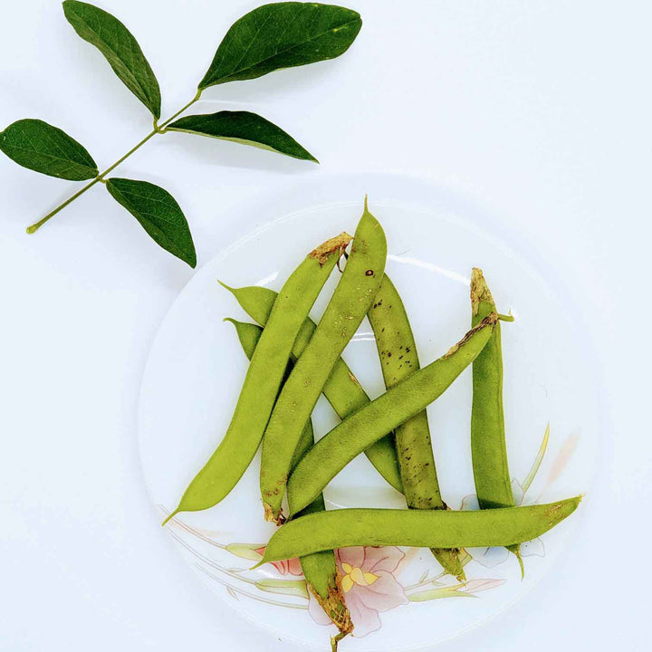 Butterfly pea pods with green leaves arranged on a plate, highlighting the natural beauty of this versatile plant.