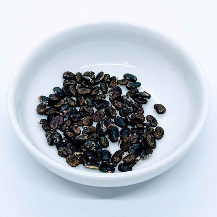 Bowl filled with butterfly pea seeds, ready for cultivation or organic gardening, captured on a clean white surface.