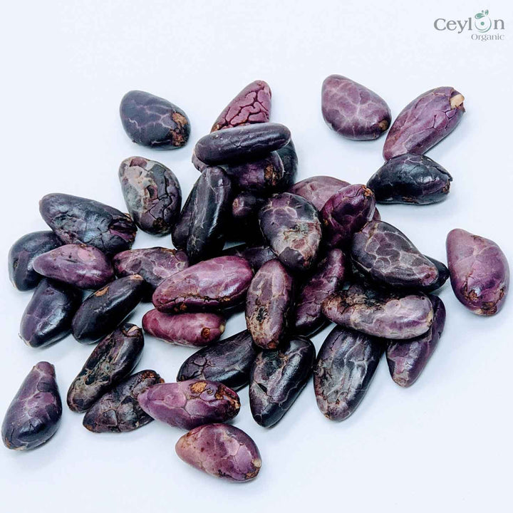 Close-up of premium cacao seeds, ideal for crafting, gardening, and gourmet recipes, highlighting their rich texture and natural quality.