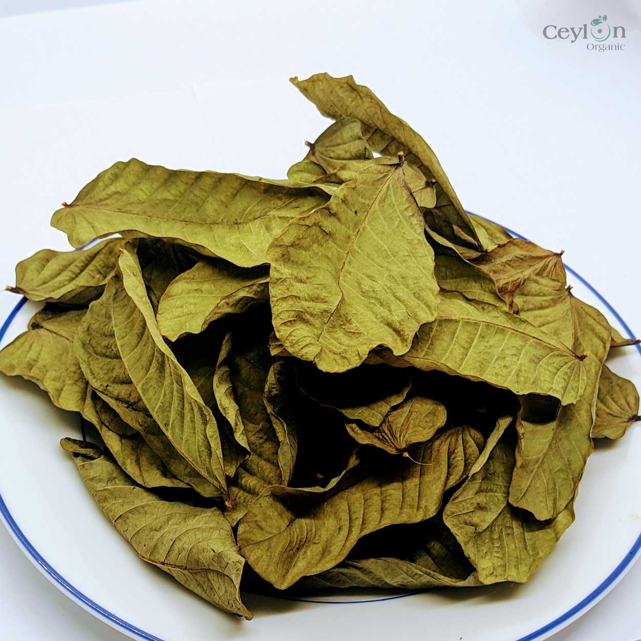 1000+ Dehydrated Cassia Alata , Organic dried candle bush Leaves , Kin