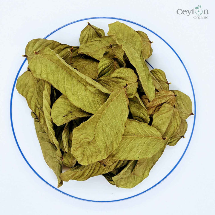Candle bush leaves, a natural ingredient in herbal tea,used to make a delicious and healthy tea.