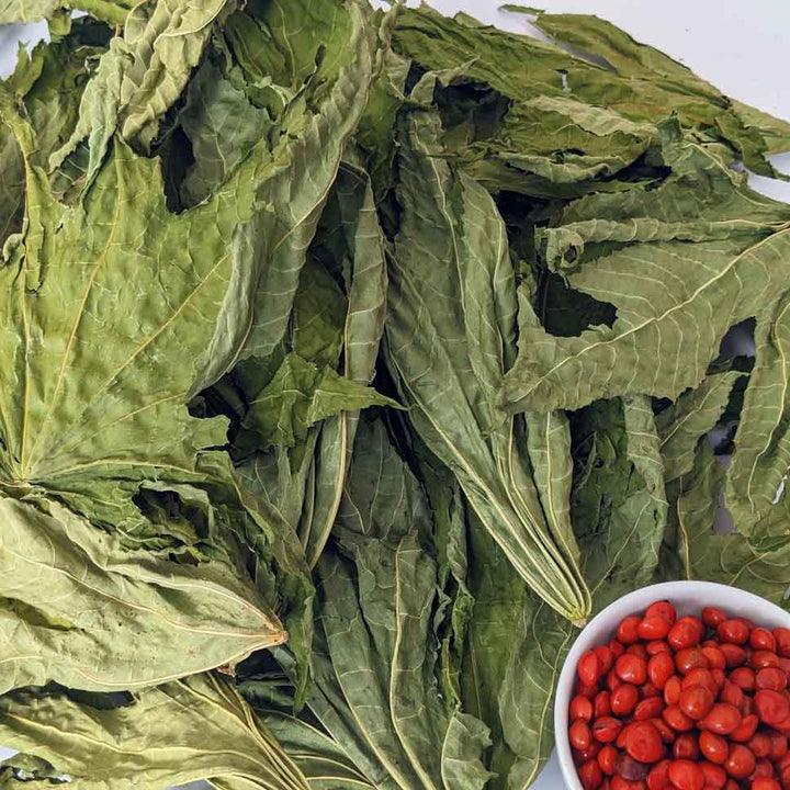 Dried Castor Leaves (Traditional Uses),Ricinus Communis Leaves ,Dried Castor Leaves for Crafts,Whole Castor Leaves,Castor Oil Plant Leaves,Unique Leaves: Castor Plant,Castor Oil Production: From Leaves.