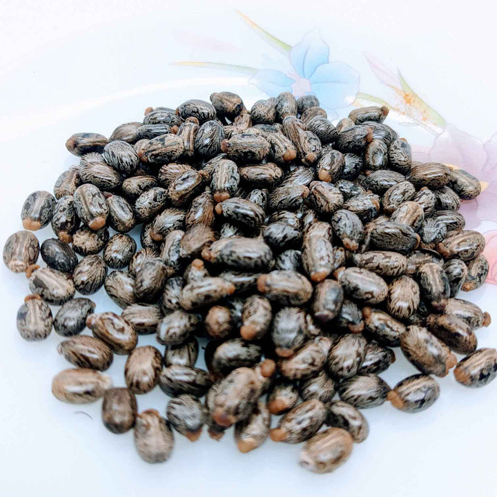 Castor seeds, a valuable industrial oilseed