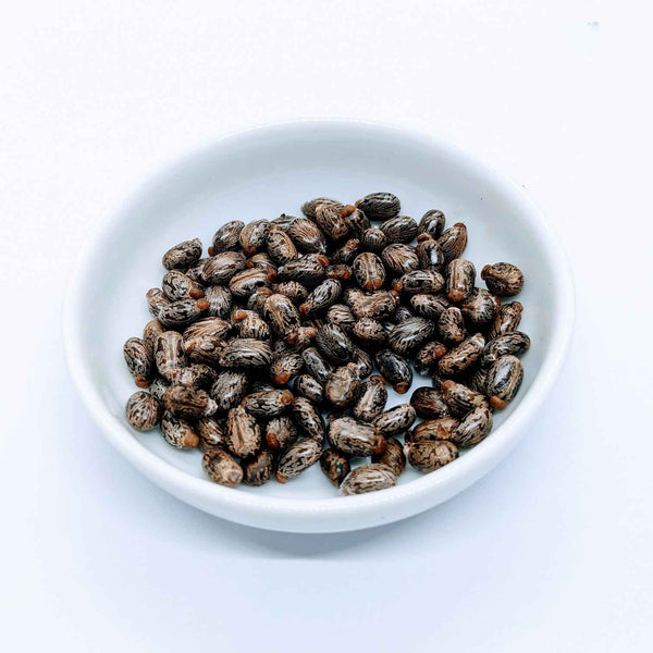 500+ Castor seeds, Castor beans, Castor plant seeds | Ceylon Organic