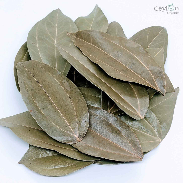 Dried cinnamon leaves, offering warm, earthy fragrance and versatility for culinary and medicinal uses.