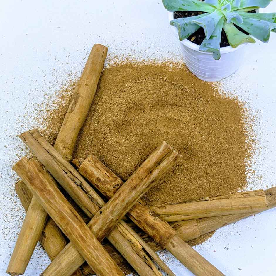 Ceylon Cinnamon Powder | Premium Ground Cinnamon Spice | Ceylon Organi ...