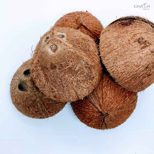 Coconut Shell Crafts: Sustainable Home Decor | Ceylon Organic