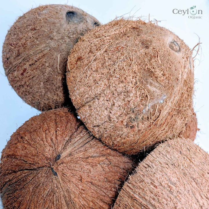 Wholesale coconut shell craft for decoration For A Touch Of Nature In Your  House 