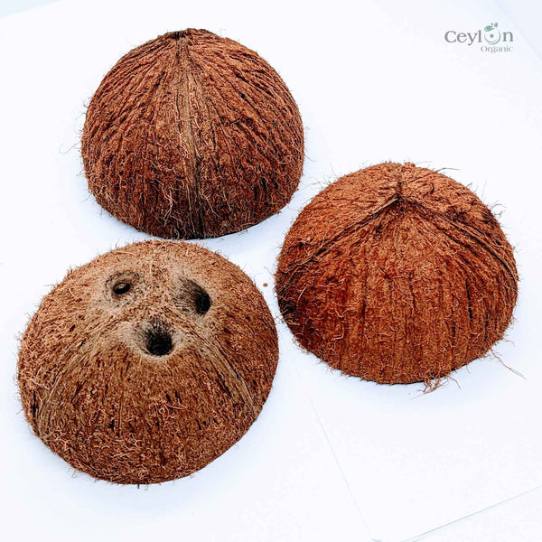 Sri Lankan Coconut Shell: Handcrafted,Eco Tableware: Coconut Shell,Natural Dinnerware: Polished Shell,Coconut Shell Crafts,Handcrafted Coconut Bowls