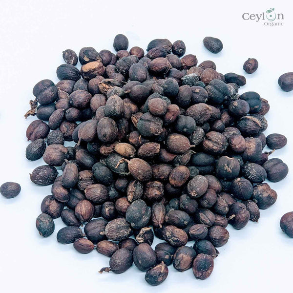 coffee  Seeds Ceylon Coffea Arabica Seed Tropical Exotic Coffee Bean Plant Tree Shrub