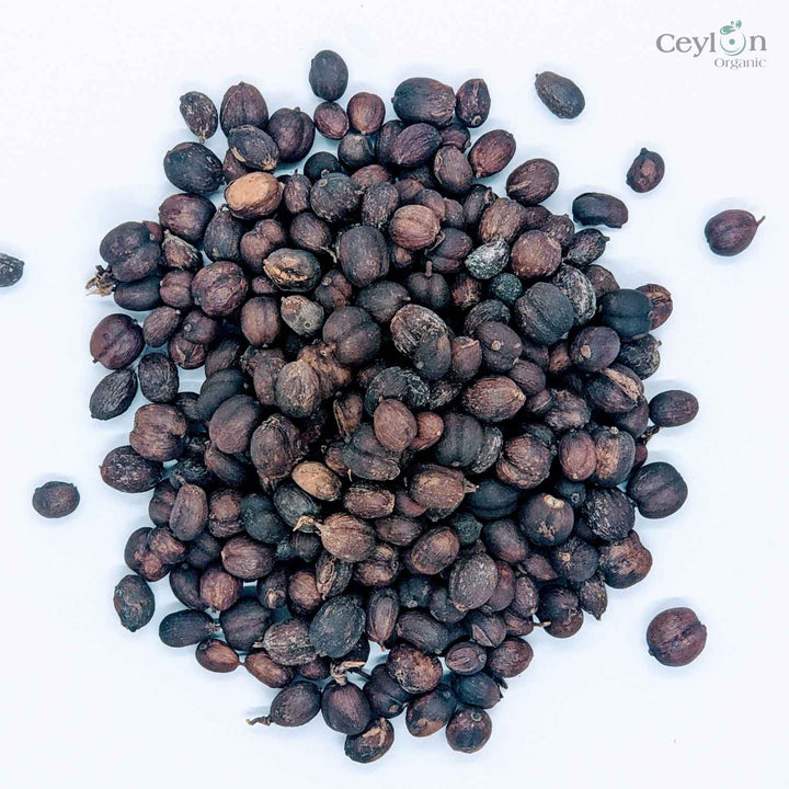 coffee Seeds ,Ceylon Coffea Arabica Seeds ,Tropical Exotic Coffee Bean Plant Tree Shrub