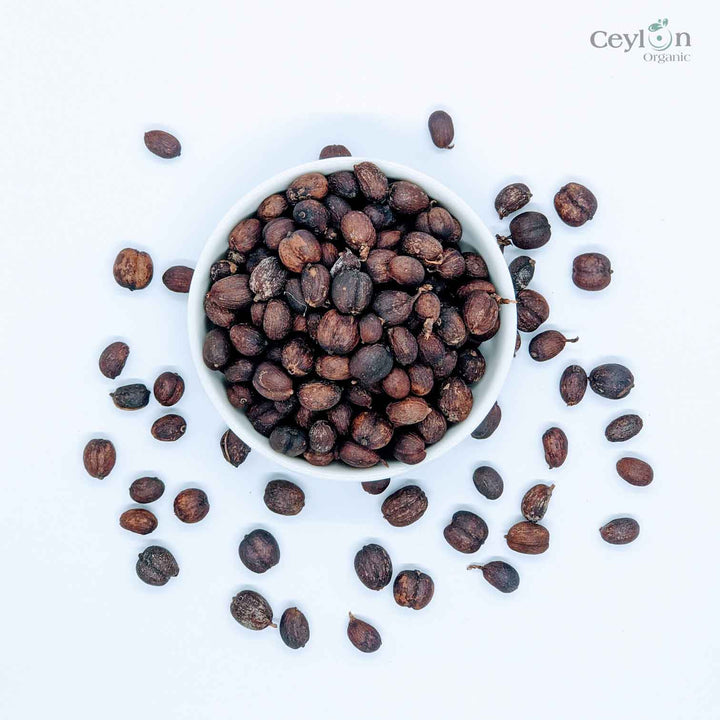 coffee Seeds Ceylon Coffea Arabica Seed Tropical Exotic Coffee Bean Plant Tree Shrub