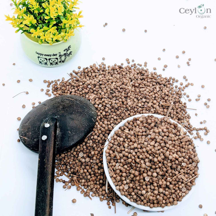 bulk coriander seeds for planting 1kg+ Coriander spice, Cilantro, Chinese parsley, dhania, Best Quality Spices