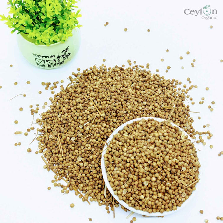Coriander Seeds, Cilantro, Chinese parsley, dhania, Best Quality Spices |