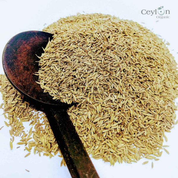 1kg+ Cumin Seeds, Organic cumin seeds, Dried cumin seeds, Best quality ceylon spices | Ceylon Organic