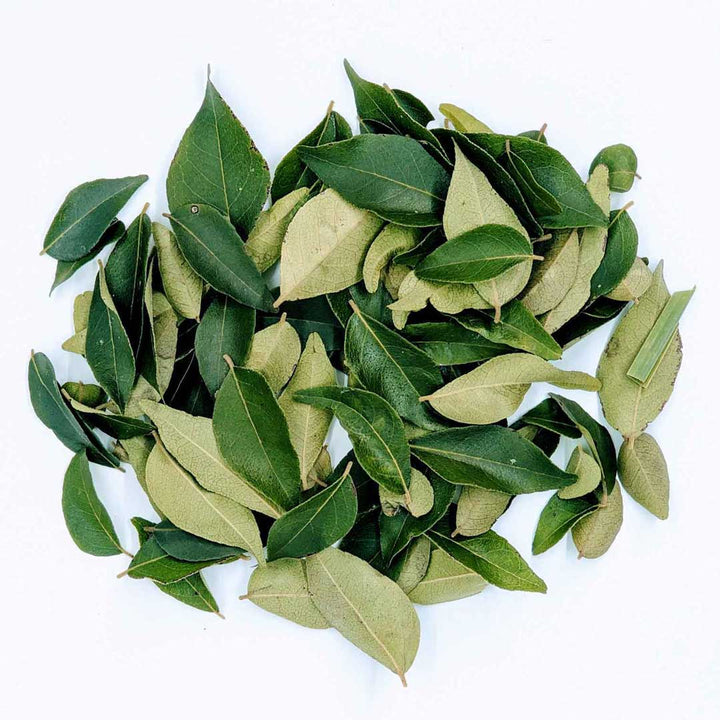 Curry Leaves,Murraya Koenigii Leaves,Curry Leaves: Aromatic & Flavorful,Dried Curry Leaves: Whole or Crushed,Curry Leaf Curry,Organic Curry Leaves Bunch for Cooking,Curry Leaf Plant with Healthy Green Leaves,Healthy Curry Leaves Growing on a Branch,spices,organic curry leaves,NON GMO