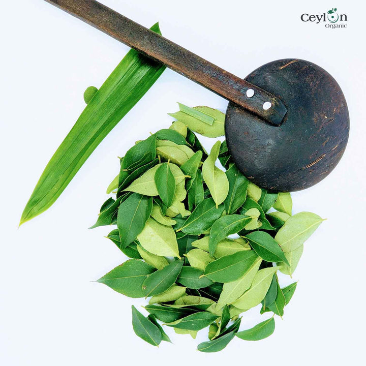 Dehydrated organic Curry Leaves,leaf Natural pure (Murraya koenigii),fresh curry leaf