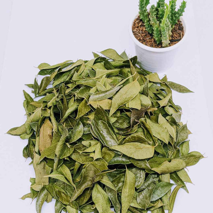 Curry leaves weight management,Curry leaves spice blend,Curry leaves dishes,Curry leaves supplements,Organic curry leaves,Curry leaves tea