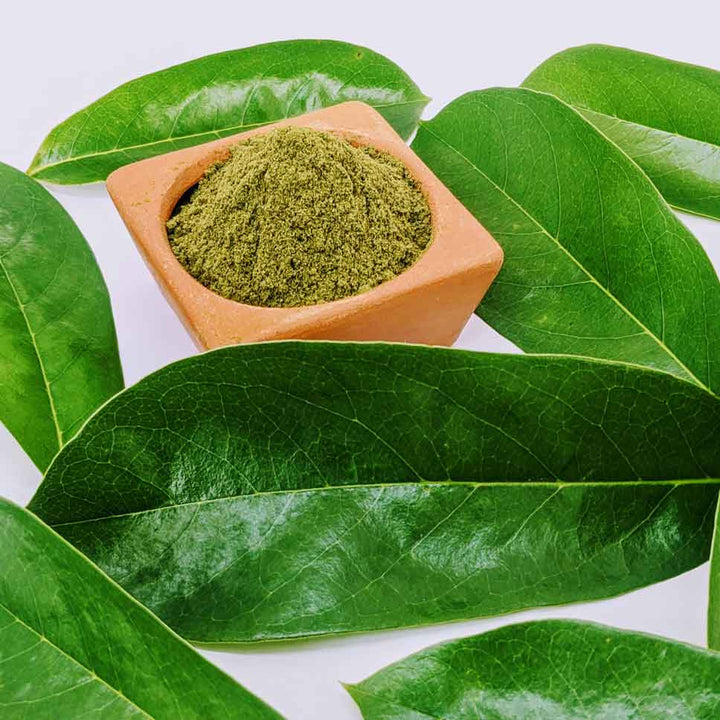 Dehydrated Tea Dehydrated Soursop Leaves Powder, Guanabana Guyabano Tea | Ceylon Orga ...