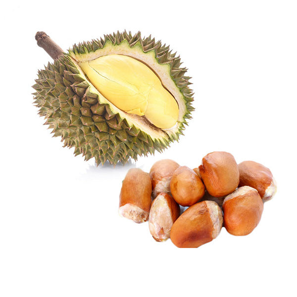  Durian Durio Seeds Zibethinus Monthong Musangking Ceylon Organic Seeds
