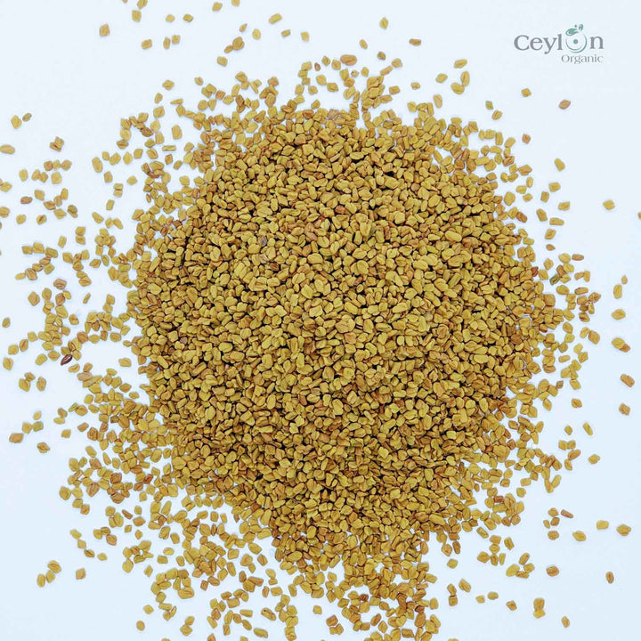 Fenugreek Seeds Non-GMO Trigonella Foenum Graecum Whole Methi Seed Bulk,Fenugreek Seeds (Methi Seeds) Wholegrain A* Quality