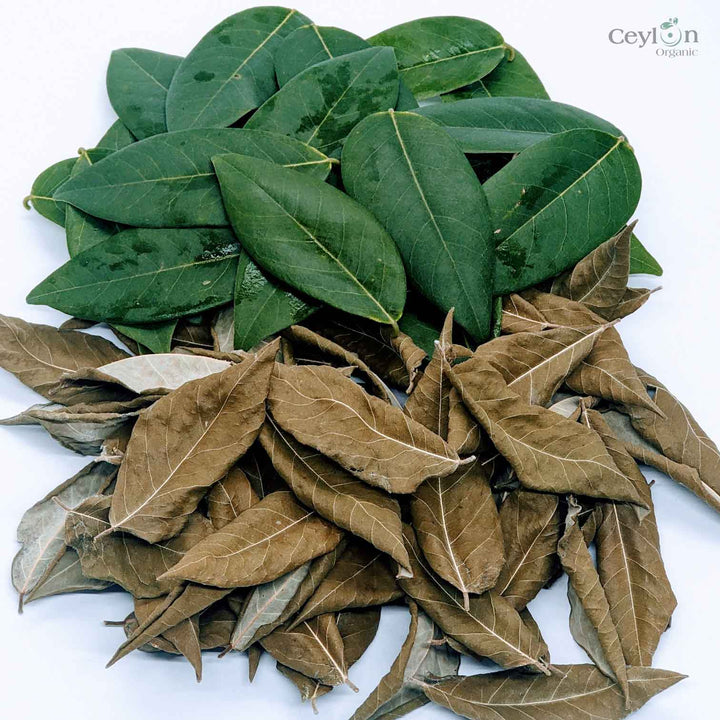 Dried Gliricidia Sepium leaves , Fertilizer Compost For Plants Organic 100% Natural