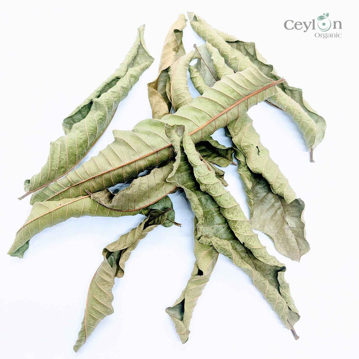 Guava leaves can also be used in cooking