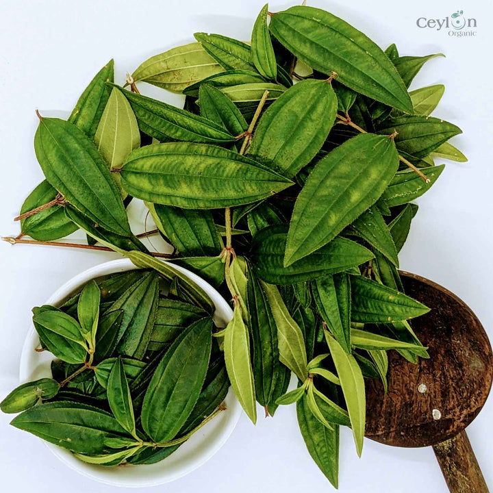  A cup of steaming heen bovitiya leaf tea, ready to be enjoyed for its health benefits.