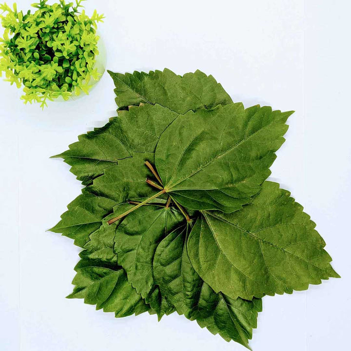 Dried HIBISCUS Leaves 100% Organic Natural Herbal Tea,organic dreid hibiscus leaf