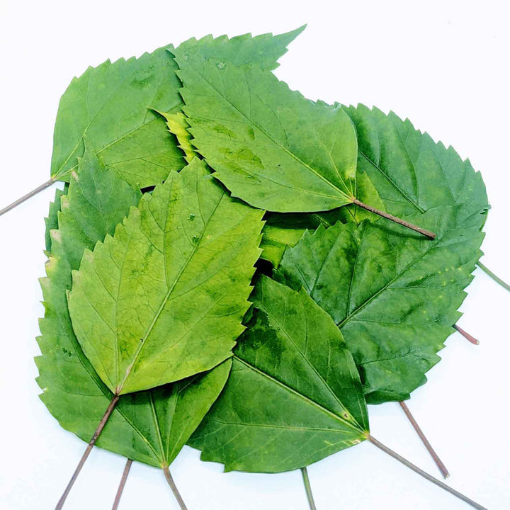 HIBISCUS Flowers Loose Leaf Herbal Tea 100% Pure Premium Quality!