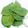 Dried HIBISCUS Leaves 100% Organic Natural Herbal Tea,organic  dreid hibiscus leaf